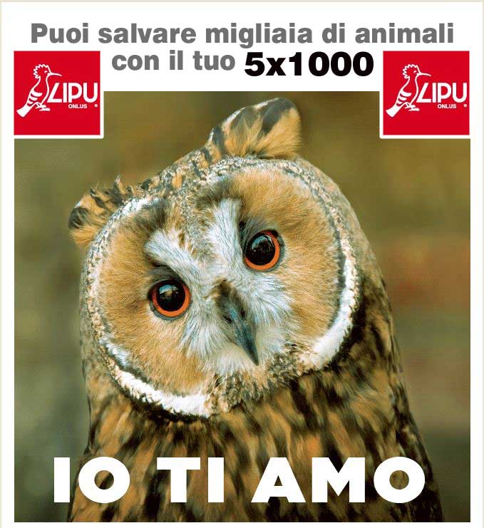 5x1000 alla Lipu
